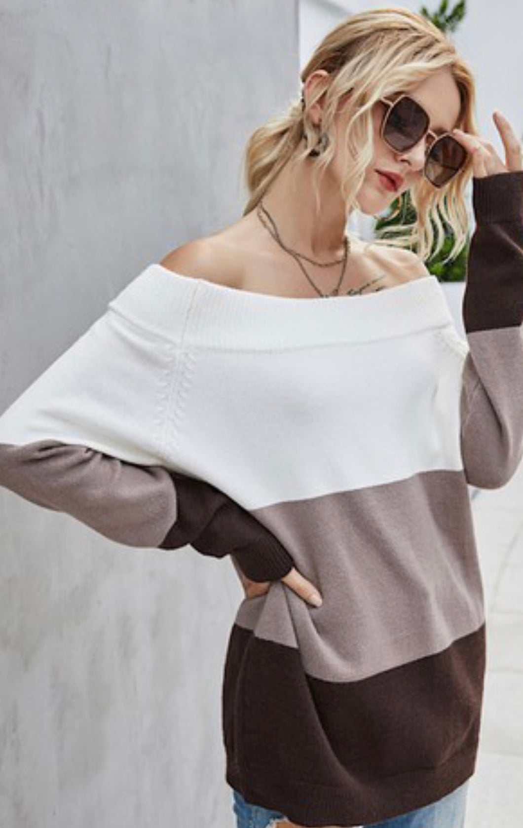 Neutral Off The Shoulder ColorBlock Sweater